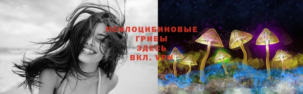 apvp Баксан
