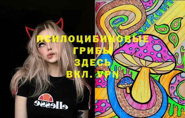 apvp Баксан