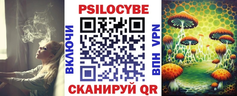 Галлюциногенные грибы Psilocybine cubensis  OMG ссылки  Красноуральск 